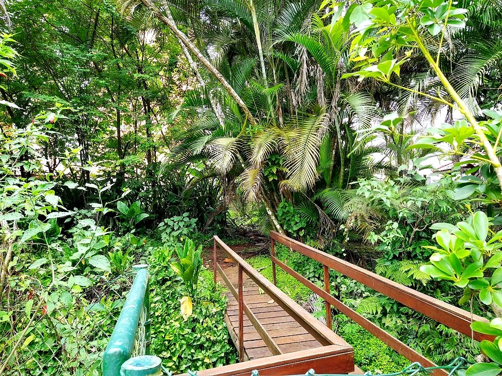 Casa CA0110 – foto 42