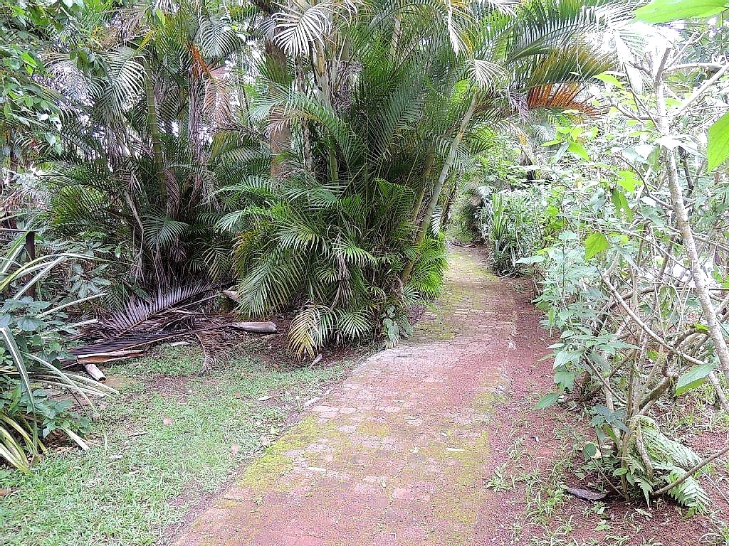 Casa CA0111 – foto 5