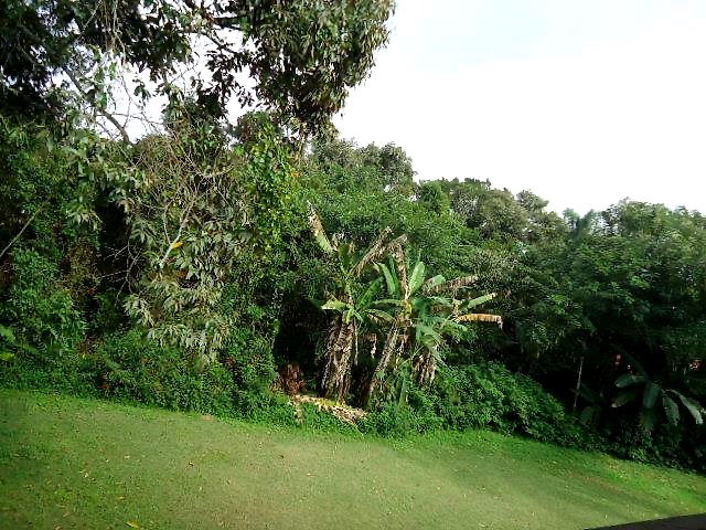 Casa CA0114 – foto 8