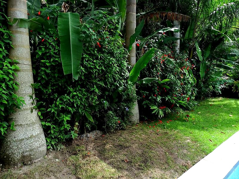 Casa CA0132 – foto 20