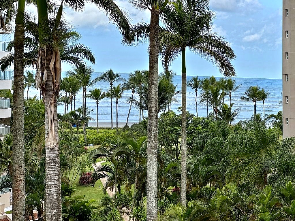 Vista
