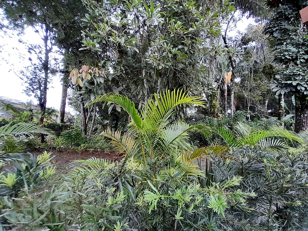 Casa CA0311 – foto 17