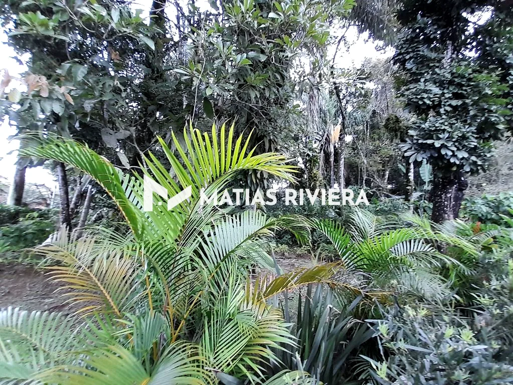 Casa CA0311 – foto 18