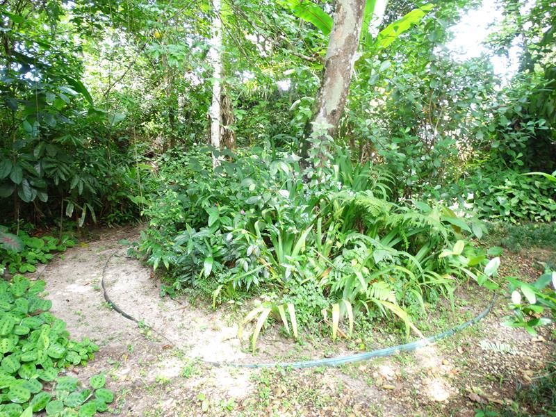 Casa CA0670 – foto 23