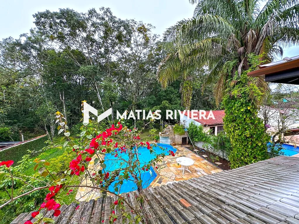 Vista