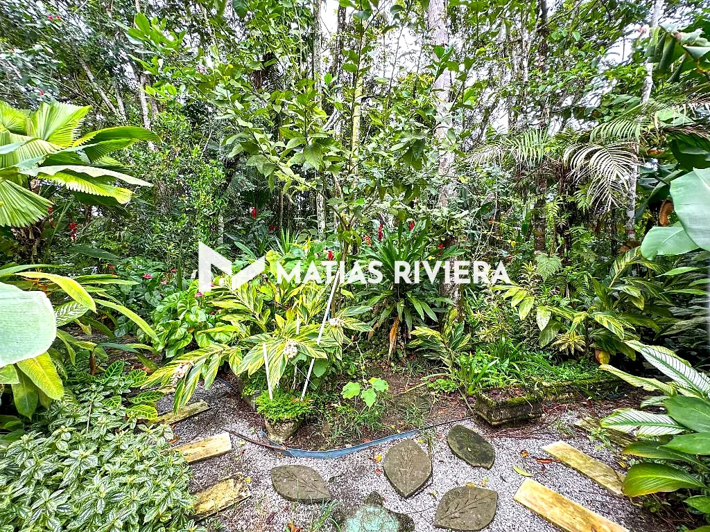 Área verde