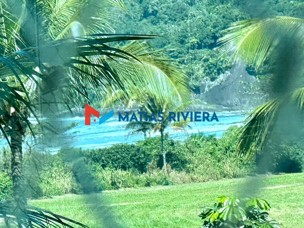 Vista