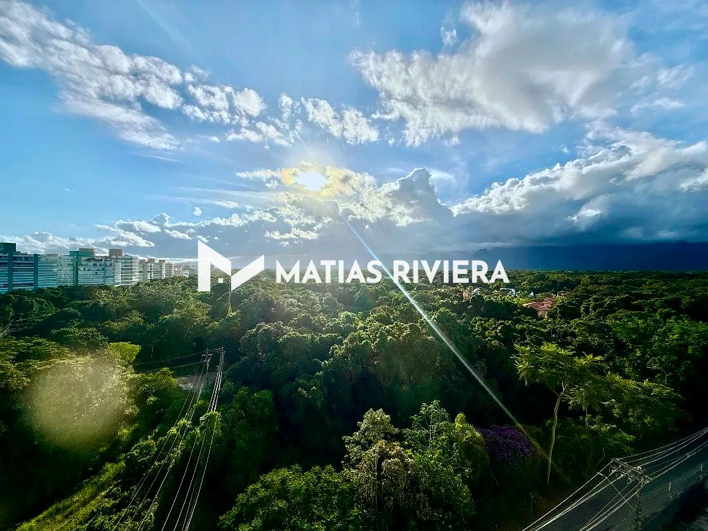 Vista